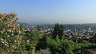 Blick von einem begrünten Berg auf die darunterliegende Stadt. Im Vordergrund dichter Baumbewuchs, dahinter breitet sich die Stadt mit ihren Gebäuden, Straßen und vereinzelten Grünflächen aus. Am Horizont sind weitere Stadtteile und das Umland zu erkennen.